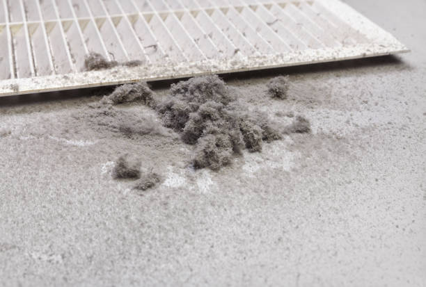 Best Residential Air Duct Cleaning  in Ivanhoe, CA