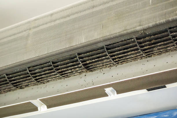 Best Air Duct Cleaning Near Me  in Ivanhoe, CA